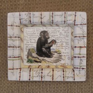 John Derian Hand Painted Monkey Trinket Jewelry Tray Plate Tozia Home Decor